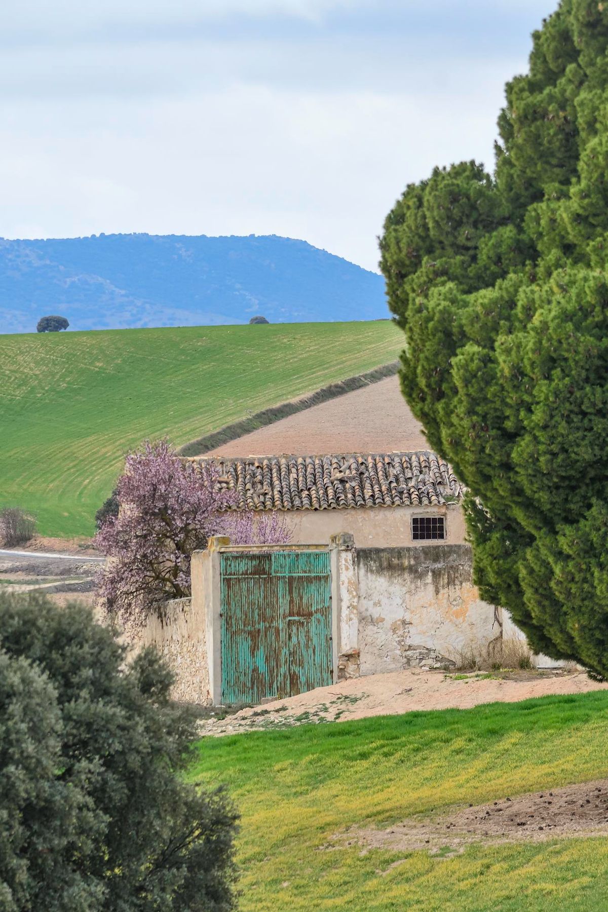 Ferme de pierre au portail vert, cyprès et collines au loin